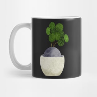 Stephania erecta Mug